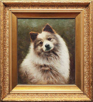 Неизвестный художник. Немецкий крупный шпиц